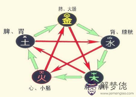 五行水太多怎麼辦|【五行 水太多】五行水太多？小心健康、事業受影響！認識五行。